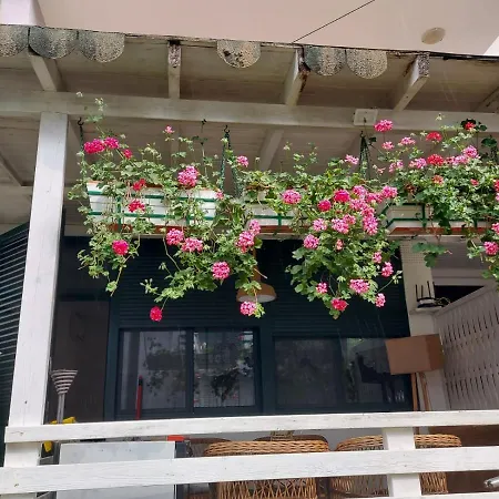 Apartment Shtepia E Luleve Golem (Tirana)