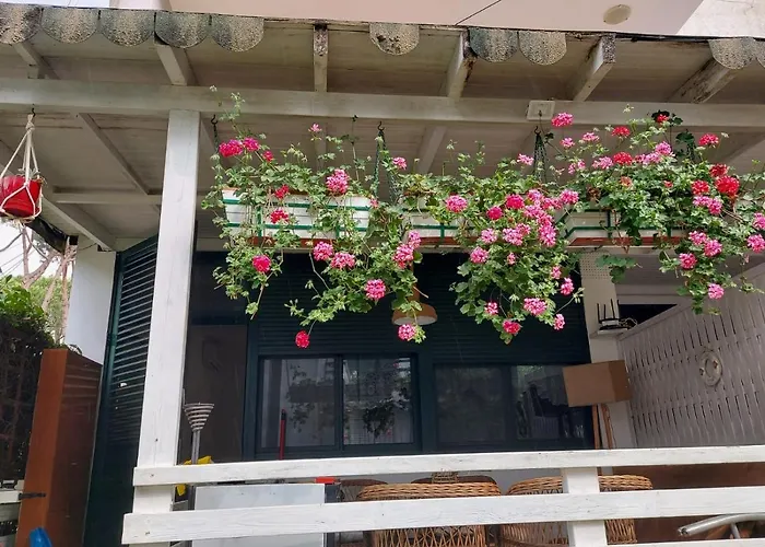 Shtepia E Luleve Golem (Tirana)