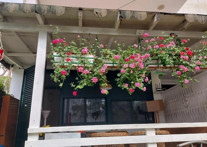 Apartmán Shtepia E Luleve Golem (Tirana)